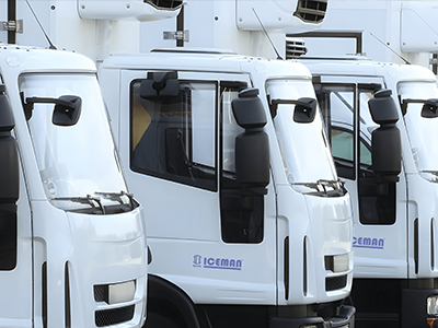 Cold Chains & Logistics